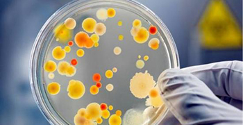 微生物活動會造成哪些影響？防霉劑廠家為你解答！
