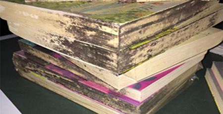 書本