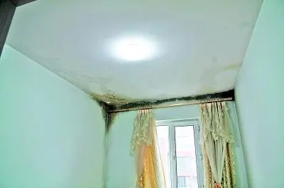 房屋發霉.webp.jpg