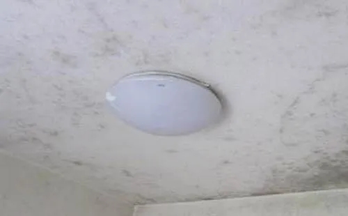 石膏板發霉.webp.jpg